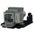 VPL-EW246 Original OEM replacement Lamp