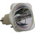LS-1 Bulb