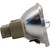 LS-3 Bulb