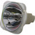 69790 Bulb