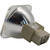 69790 Bulb