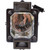 R70XBR2-LAMP