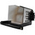 52WM48-LAMP