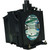PT-DW5100L-SINGLE Original OEM replacement Lamp