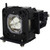 PT-DW830W replacement lamp