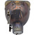 Philips MSD Platinum 16 R Lamp for the ACME XP-16R