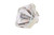PROC3 Bulb