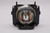 300 Original OEM replacement Lamp