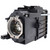 VPL-FWZ60 Original OEM replacement Lamp
