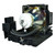 Compatible Lamp & Housing for the Liesegang dv480w Projector - 90 Day Warranty