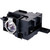 XEED 4K500ST Genuine AL™ OEM replacement Lamp