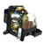 SD205R-LAMP