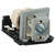Jaspertronics™ OEM Lamp & Housing for The Optoma W610ST Projector with Original High-Quality bulb inside - 240 Day Warranty