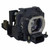 PT-PX98 Original OEM replacement Lamp