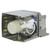 MW516 Original OEM replacement Lamp MW516 Original OEM replacement Lamp