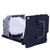 HC77-60D Original OEM replacement Lamp