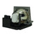 PJ556ED replacement lamp