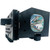PT-61LCX35 Original OEM replacement Lamp