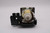 DPX-830 Original OEM replacement Lamp