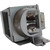 W502 Original OEM replacement Lamp
