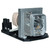 X1161P-LAMP
