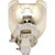 D8300ST replacement lamp