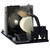 PD116P Original OEM replacement Lamp