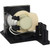 Jaspertronics™ OEM Lamp & Housing for The Acer X110 Projector with Original High-Quality bulb inside - 240 Day Warranty