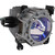 PT-DS20K2U Original OEM replacement Lamp