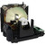 PT-DW750E-2PK replacement lamp