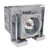 DLA-SH7NLG Original OEM replacement Lamp
