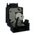 PG-D40W3D Original OEM replacement Lamp