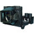 PD123 Original OEM replacement Lamp PD123 Original OEM replacement Lamp