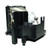 Image-Pro-8935 Original OEM replacement Lamp