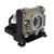 VP6111 Original OEM replacement Lamp