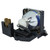 VP6111 Original OEM replacement Lamp