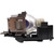 VPL-EX245-LAMP