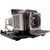 VPL-EX225-LAMP