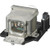 VPL-EX250-LAMP