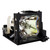 dv410 Original OEM replacement Lamp