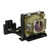 PB8225 Original OEM replacement Lamp