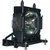 VPL-HW30 Original OEM replacement Lamp