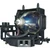 LMP-H202