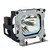 Original Inside Lamp & Housing for the Liesegang dv240 Projector with Ushio bulb inside - 240 Day Warranty