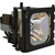 dv295 Original OEM replacement Lamp