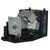 Original Inside AH-66271 Lamp & Housing for Eiki Projectors with Phoenix bulb inside - 240 Day Warranty