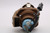 TLPLP6 Original OEM replacement Lamp