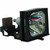 LC4431/99 Original OEM replacement Lamp