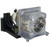 Original Inside 610-336-0362 Lamp & Housing for Sanyo Projectors with Ushio bulb inside - 240 Day Warranty