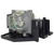 Original Inside Lamp & Housing for the Planar PR3010 Projector with Osram bulb inside - 240 Day Warranty